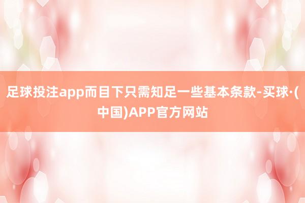 足球投注app而目下只需知足一些基本条款-买球·(中国)APP官方网站