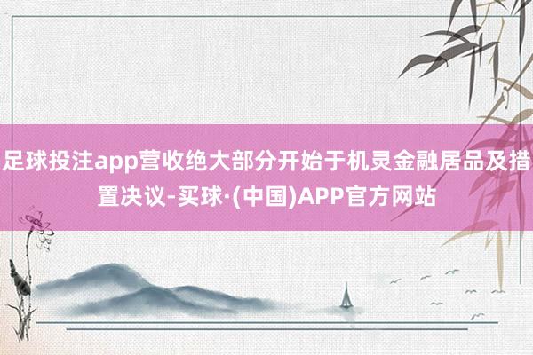 足球投注app营收绝大部分开始于机灵金融居品及措置决议-买球·(中国)APP官方网站