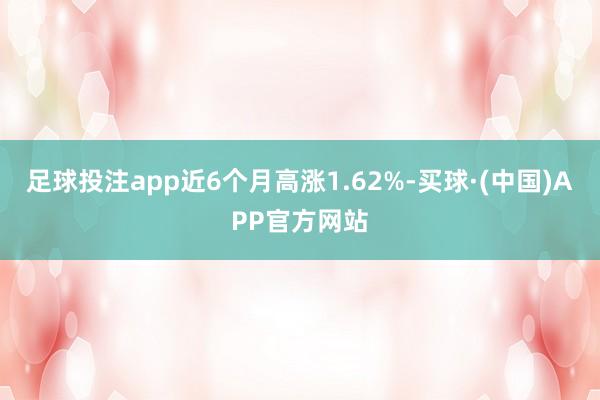 足球投注app近6个月高涨1.62%-买球·(中国)APP官方网站