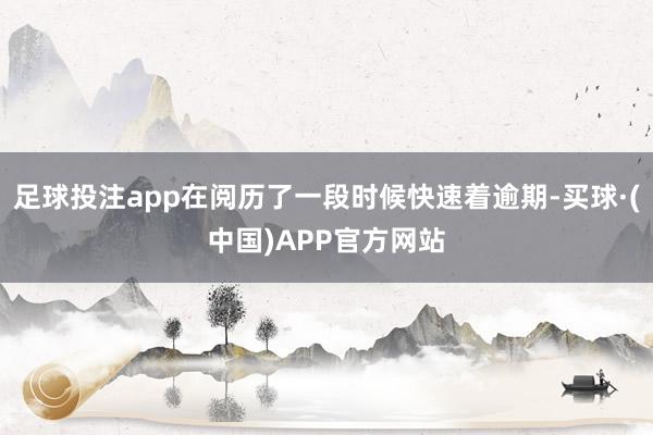 足球投注app在阅历了一段时候快速着逾期-买球·(中国)APP官方网站