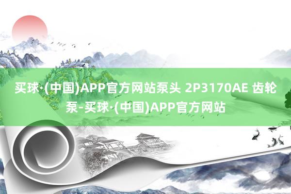 买球·(中国)APP官方网站泵头 2P3170AE 齿轮泵-买球·(中国)APP官方网站