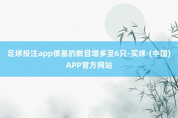 足球投注app债基的数目增多至6只-买球·(中国)APP官方网站