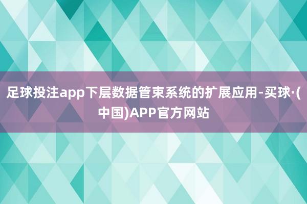 足球投注app下层数据管束系统的扩展应用-买球·(中国)APP官方网站