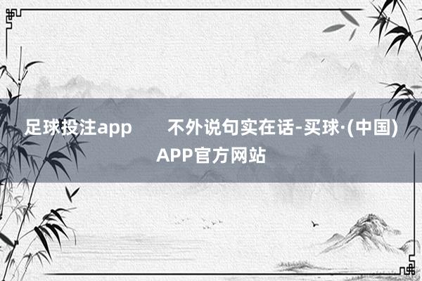 足球投注app       不外说句实在话-买球·(中国)APP官方网站