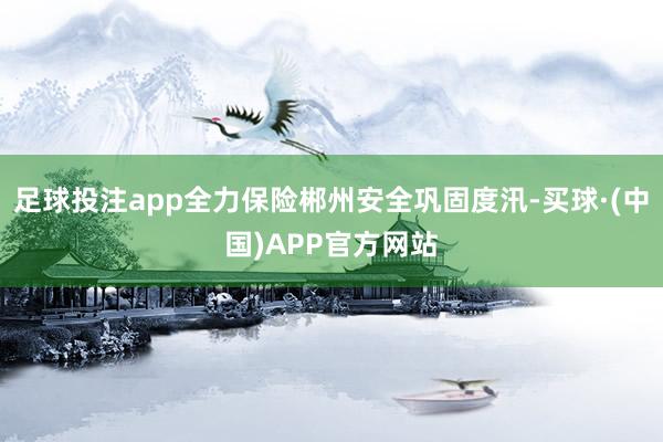 足球投注app全力保险郴州安全巩固度汛-买球·(中国)APP官方网站
