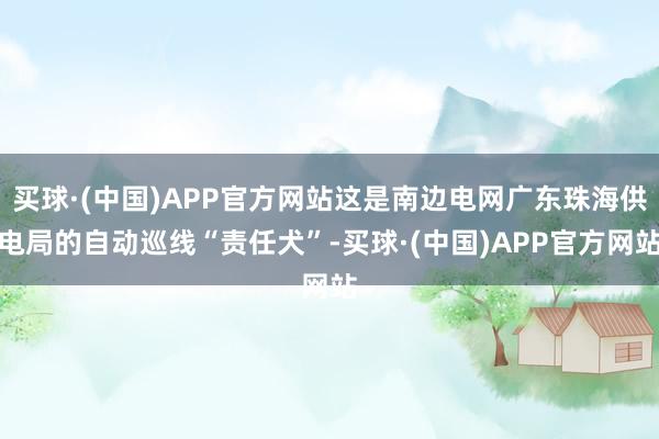 买球·(中国)APP官方网站这是南边电网广东珠海供电局的自动巡线“责任犬”-买球·(中国)APP官方网站