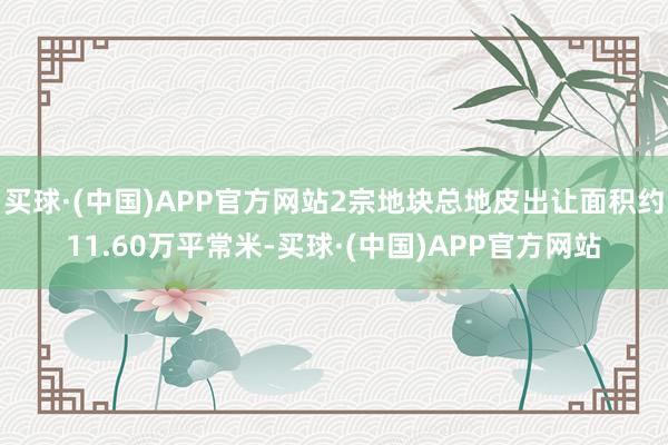 买球·(中国)APP官方网站2宗地块总地皮出让面积约11.60万平常米-买球·(中国)APP官方网站