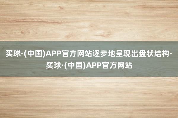 买球·(中国)APP官方网站逐步地呈现出盘状结构-买球·(中国)APP官方网站