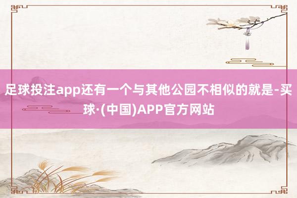 足球投注app还有一个与其他公园不相似的就是-买球·(中国)APP官方网站