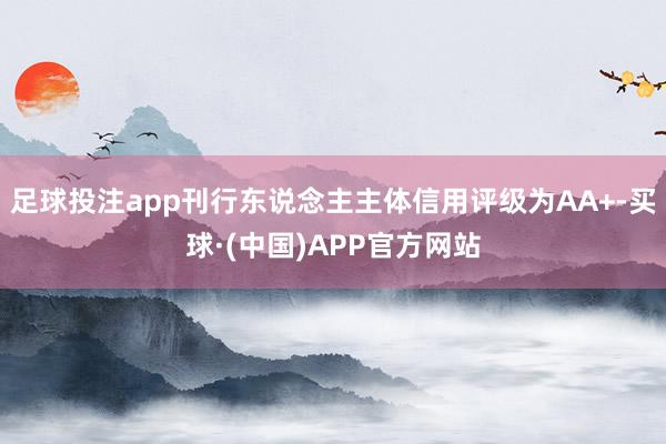 足球投注app刊行东说念主主体信用评级为AA+-买球·(中国)APP官方网站