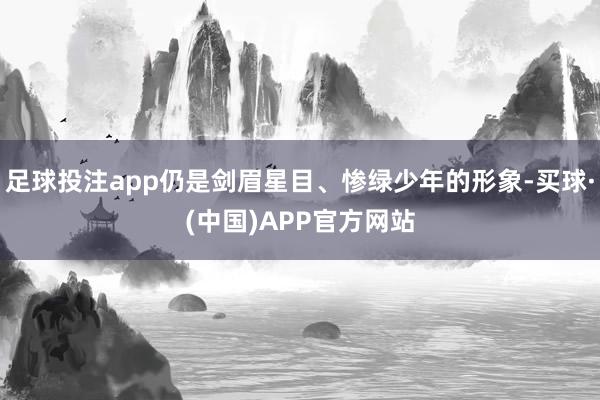 足球投注app仍是剑眉星目、惨绿少年的形象-买球·(中国)APP官方网站