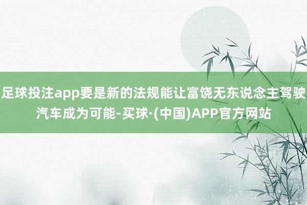 足球投注app要是新的法规能让富饶无东说念主驾驶汽车成为可能-买球·(中国)APP官方网站
