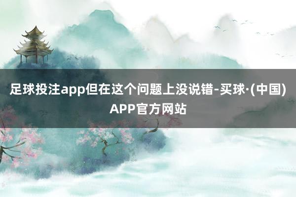足球投注app但在这个问题上没说错-买球·(中国)APP官方网站