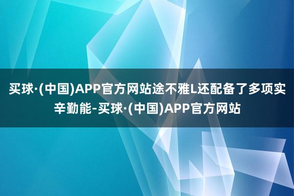 买球·(中国)APP官方网站途不雅L还配备了多项实辛勤能-买球·(中国)APP官方网站