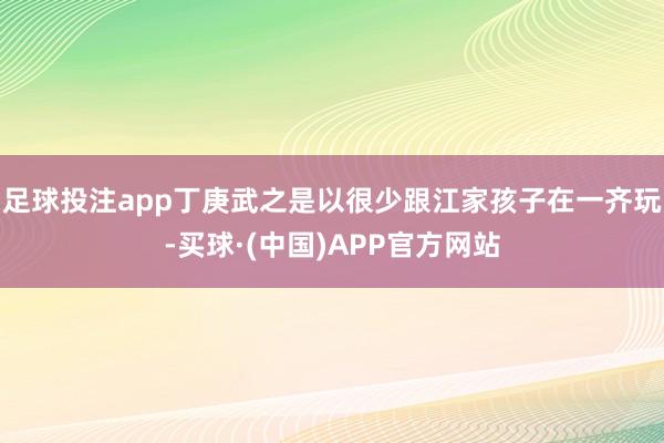 足球投注app丁庚武之是以很少跟江家孩子在一齐玩-买球·(中国)APP官方网站