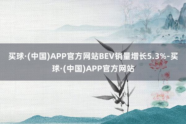 买球·(中国)APP官方网站BEV销量增长5.3%-买球·(中国)APP官方网站