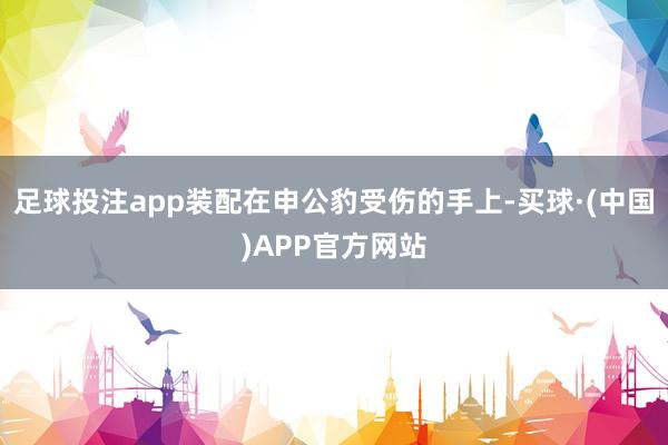 足球投注app装配在申公豹受伤的手上-买球·(中国)APP官方网站