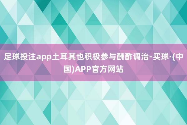 足球投注app土耳其也积极参与酬酢调治-买球·(中国)APP官方网站