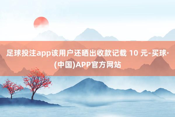 足球投注app该用户还晒出收款记载 10 元-买球·(中国)APP官方网站