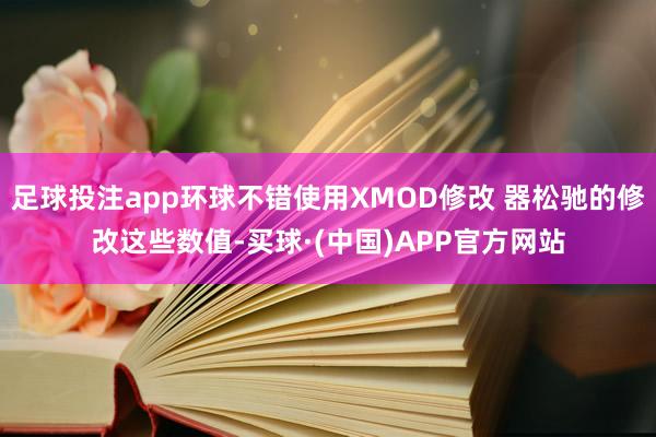 足球投注app环球不错使用XMOD修改 器松驰的修改这些数值-买球·(中国)APP官方网站