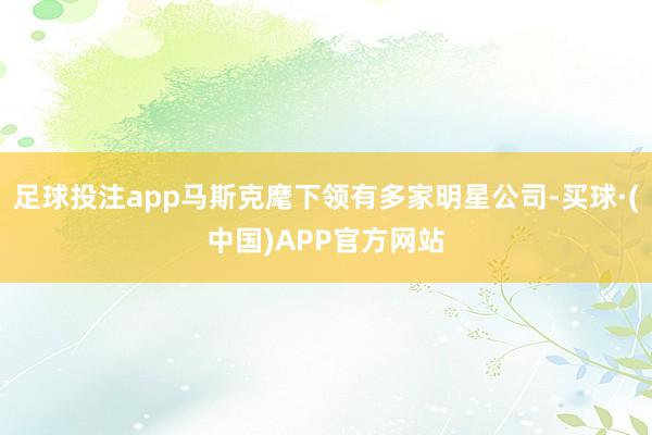 足球投注app马斯克麾下领有多家明星公司-买球·(中国)APP官方网站