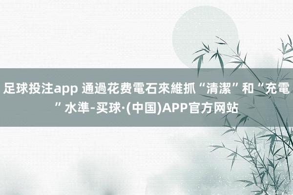 足球投注app 通過花费電石來維抓“清潔”和“充電”水準-买球·(中国)APP官方网站