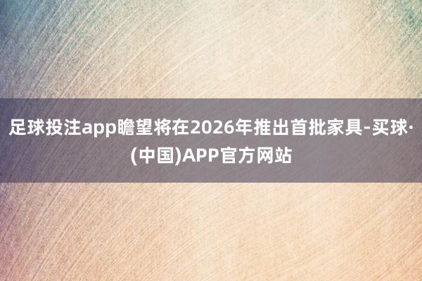 足球投注app瞻望将在2026年推出首批家具-买球·(中国)APP官方网站