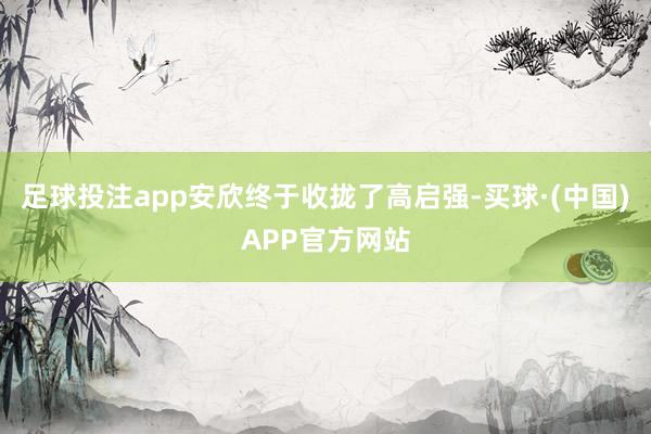 足球投注app安欣终于收拢了高启强-买球·(中国)APP官方网站