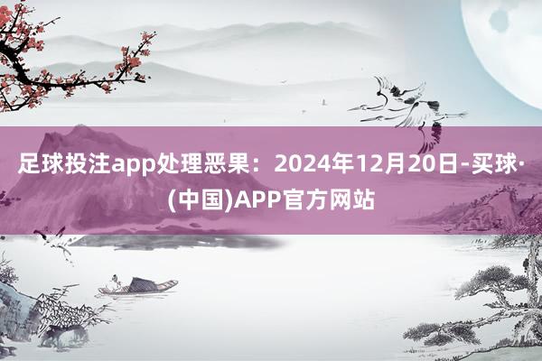 足球投注app处理恶果：2024年12月20日-买球·(中国)APP官方网站