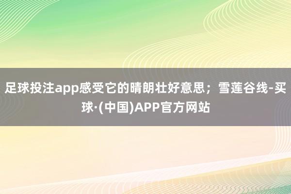 足球投注app感受它的晴朗壮好意思；雪莲谷线-买球·(中国)APP官方网站