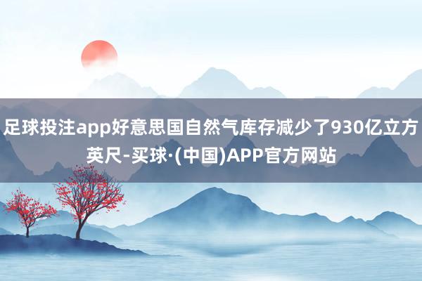 足球投注app好意思国自然气库存减少了930亿立方英尺-买球·(中国)APP官方网站