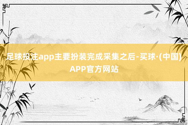 足球投注app主要扮装完成采集之后-买球·(中国)APP官方网站
