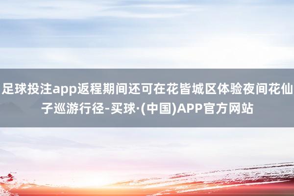 足球投注app返程期间还可在花皆城区体验夜间花仙子巡游行径-买球·(中国)APP官方网站