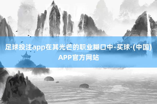 足球投注app在其光芒的职业糊口中-买球·(中国)APP官方网站