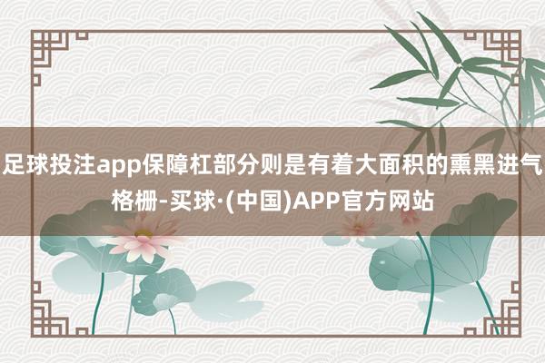 足球投注app保障杠部分则是有着大面积的熏黑进气格栅-买球·(中国)APP官方网站