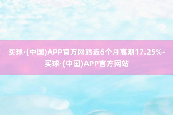 买球·(中国)APP官方网站近6个月高潮17.25%-买球·(中国)APP官方网站