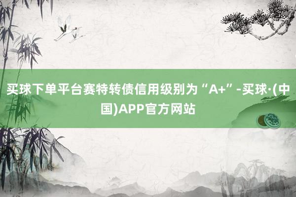 买球下单平台赛特转债信用级别为“A+”-买球·(中国)APP官方网站