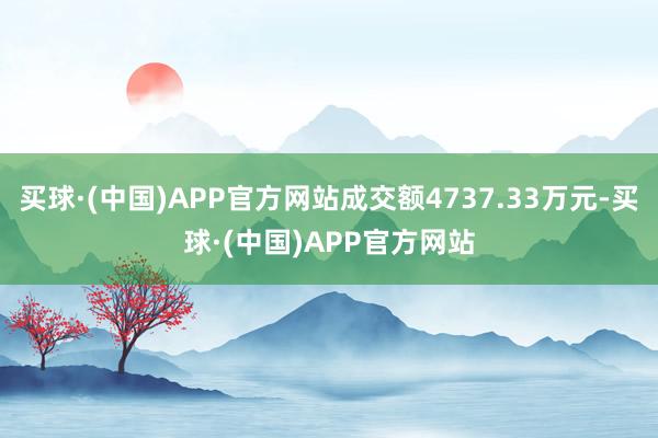 买球·(中国)APP官方网站成交额4737.33万元-买球·(中国)APP官方网站