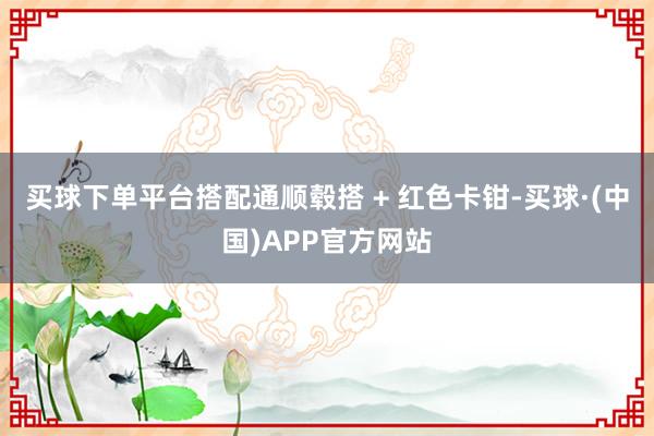 买球下单平台搭配通顺毂搭 + 红色卡钳-买球·(中国)APP官方网站
