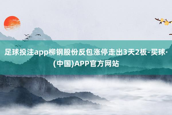 足球投注app柳钢股份反包涨停走出3天2板-买球·(中国)APP官方网站