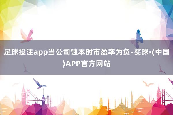 足球投注app当公司蚀本时市盈率为负-买球·(中国)APP官方网站