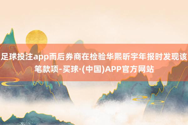 足球投注app而后券商在检验华熙昕宇年报时发现该笔款项-买球·(中国)APP官方网站