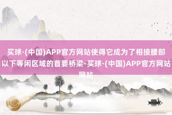 买球·(中国)APP官方网站使得它成为了相接腰部以下等闲区域的首要桥梁-买球·(中国)APP官方网站