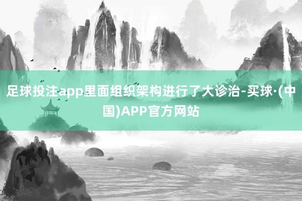 足球投注app里面组织架构进行了大诊治-买球·(中国)APP官方网站