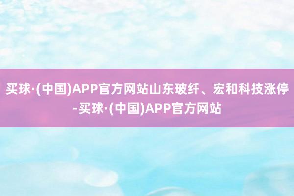 买球·(中国)APP官方网站山东玻纤、宏和科技涨停-买球·(中国)APP官方网站