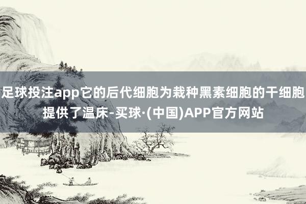 足球投注app它的后代细胞为栽种黑素细胞的干细胞提供了温床-买球·(中国)APP官方网站