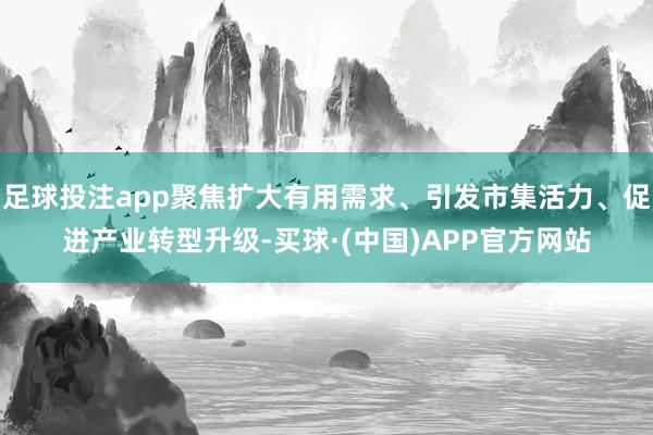 足球投注app聚焦扩大有用需求、引发市集活力、促进产业转型升级-买球·(中国)APP官方网站