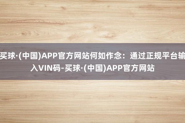 买球·(中国)APP官方网站何如作念：通过正规平台输入VIN码-买球·(中国)APP官方网站