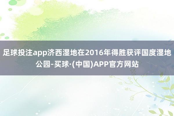 足球投注app济西湿地在2016年得胜获评国度湿地公园-买球·(中国)APP官方网站