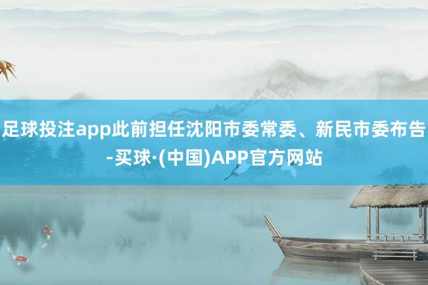 足球投注app此前担任沈阳市委常委、新民市委布告-买球·(中国)APP官方网站